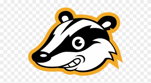 Privacy Badger
